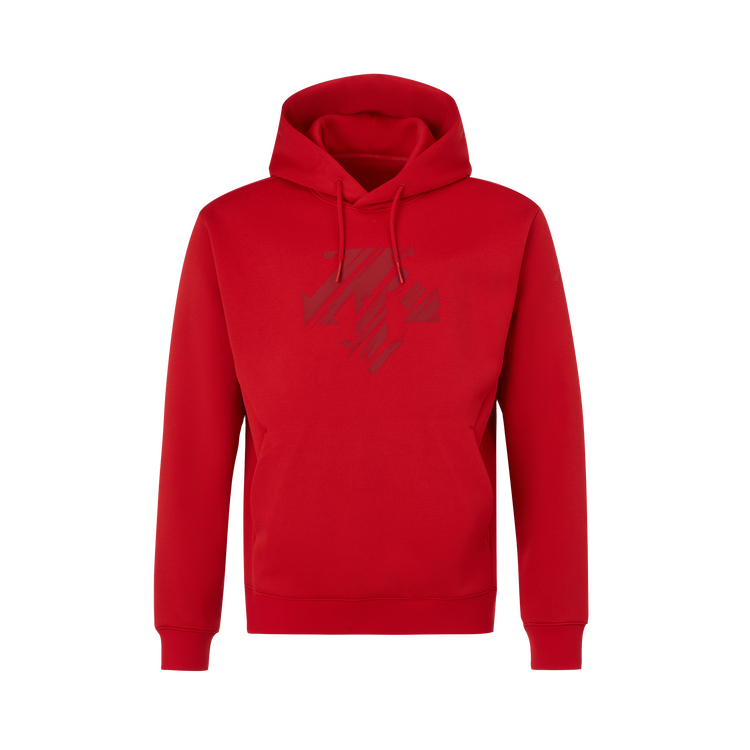 Толстовка ESSENTIAL Series мужская DESCENTE, красный
Толстовка ESSENTIAL Series мужская DESCENTE, красный