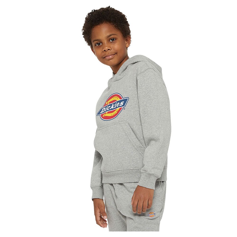 Худи Dickies Youth Logo, серый
Худи Dickies Youth Logo, серый
