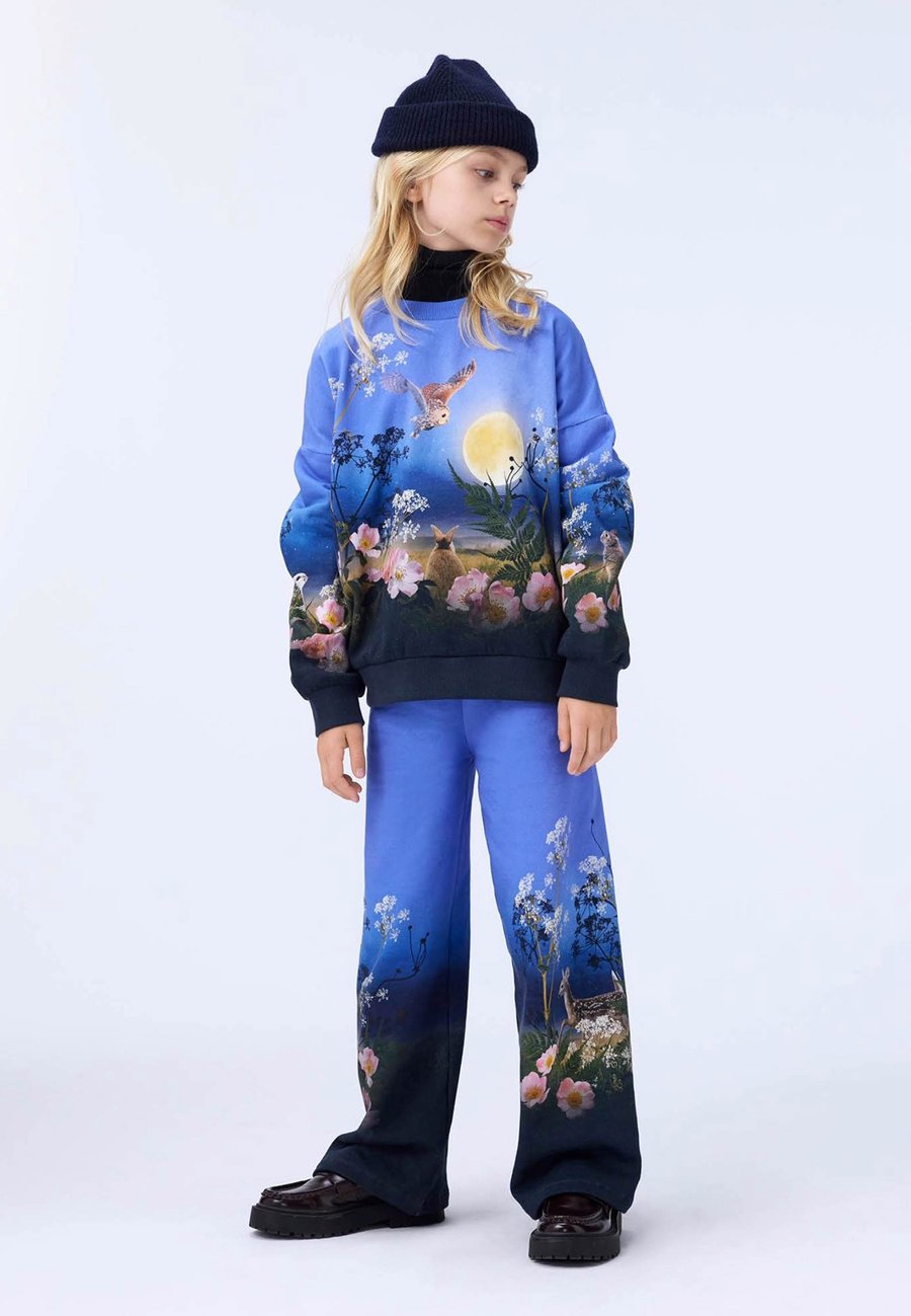 Толстовка Molo MAXI, Blue
Толстовка Molo MAXI, Blue