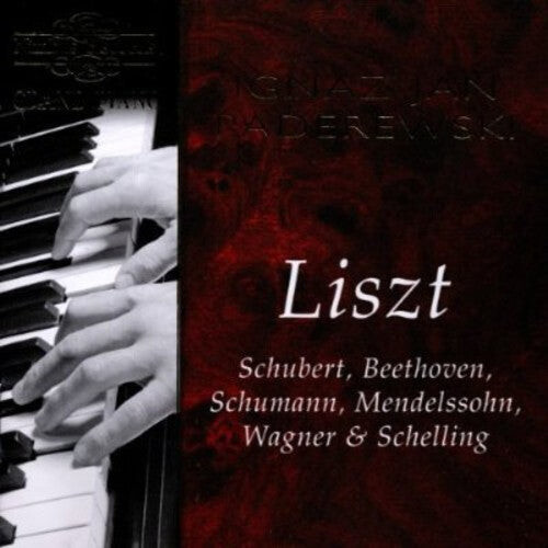 CD диск Liszt / Paderewski: Ignaz Jan Paderewski Performs Liszt
CD диск Liszt / Paderewski: Ignaz Jan Paderewski Performs Liszt