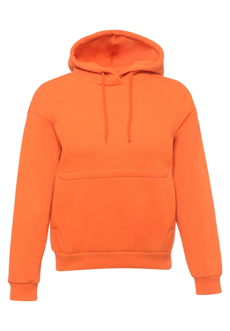 Толстовка FRESHLIONS Balina, оранжевый
Толстовка FRESHLIONS Balina, оранжевый