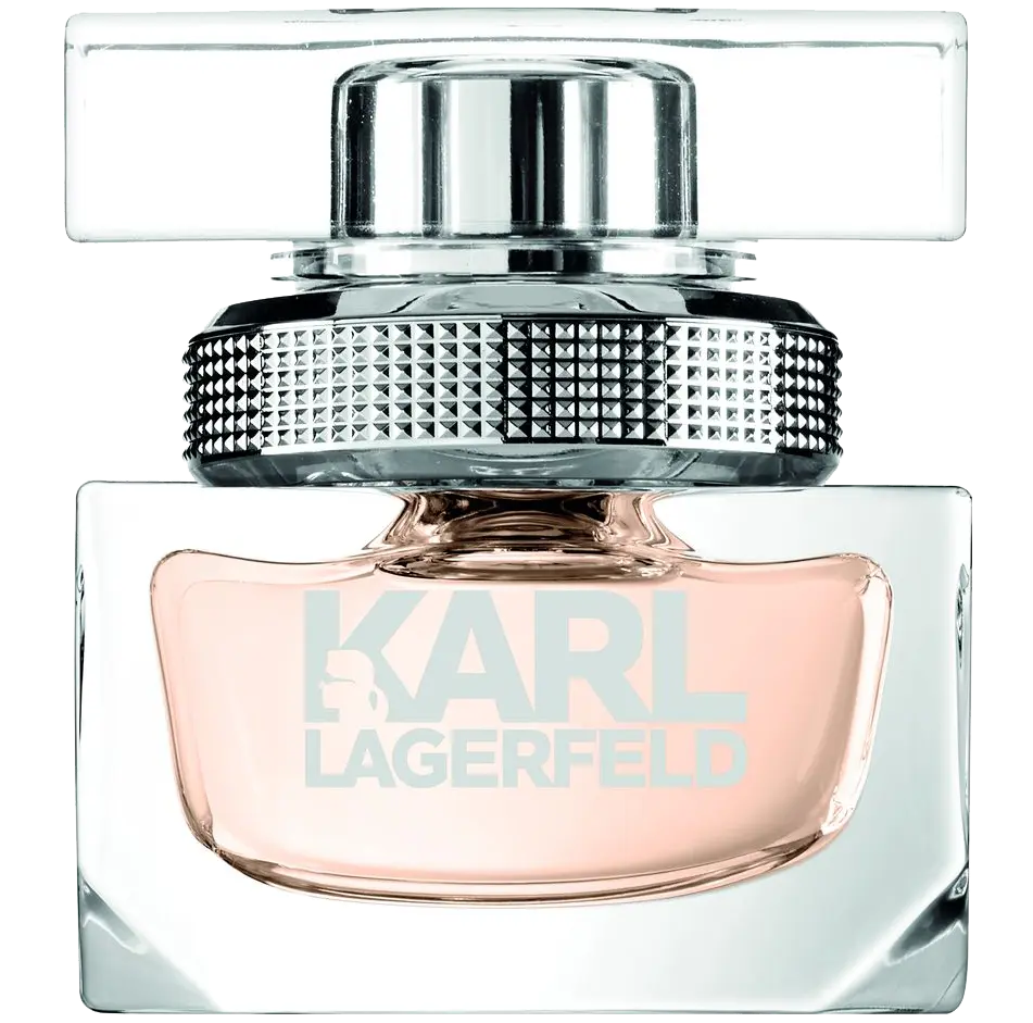 Женская парфюмированная вода Karl Lagerfeld Women, 25 мл 
Женская парфюмированная вода Karl Lagerfeld Women, 25 мл