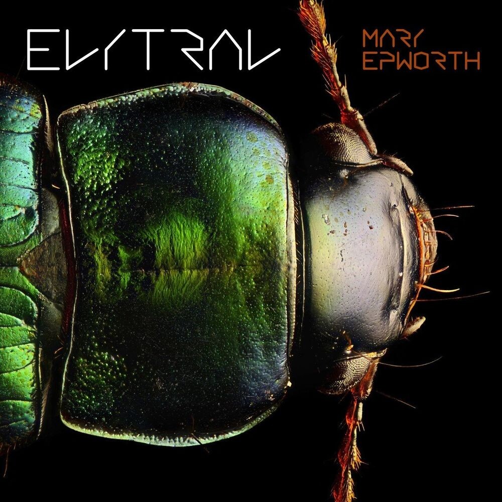 Виниловая пластинка LP Elytral - Mary Epworth 
Виниловая пластинка LP Elytral - Mary Epworth