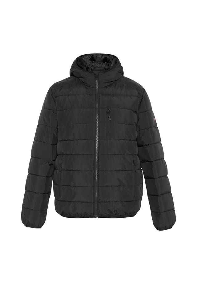 Куртка в стиле стеганого пуховика Chiemsee, черный
Куртка в стиле стеганого пуховика Chiemsee, черный