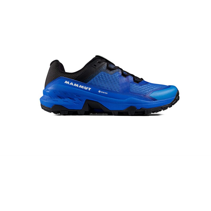 Многофункциональные кроссовки girun ii low gtx Mammut, черный
Многофункциональные кроссовки girun ii low gtx Mammut, черный