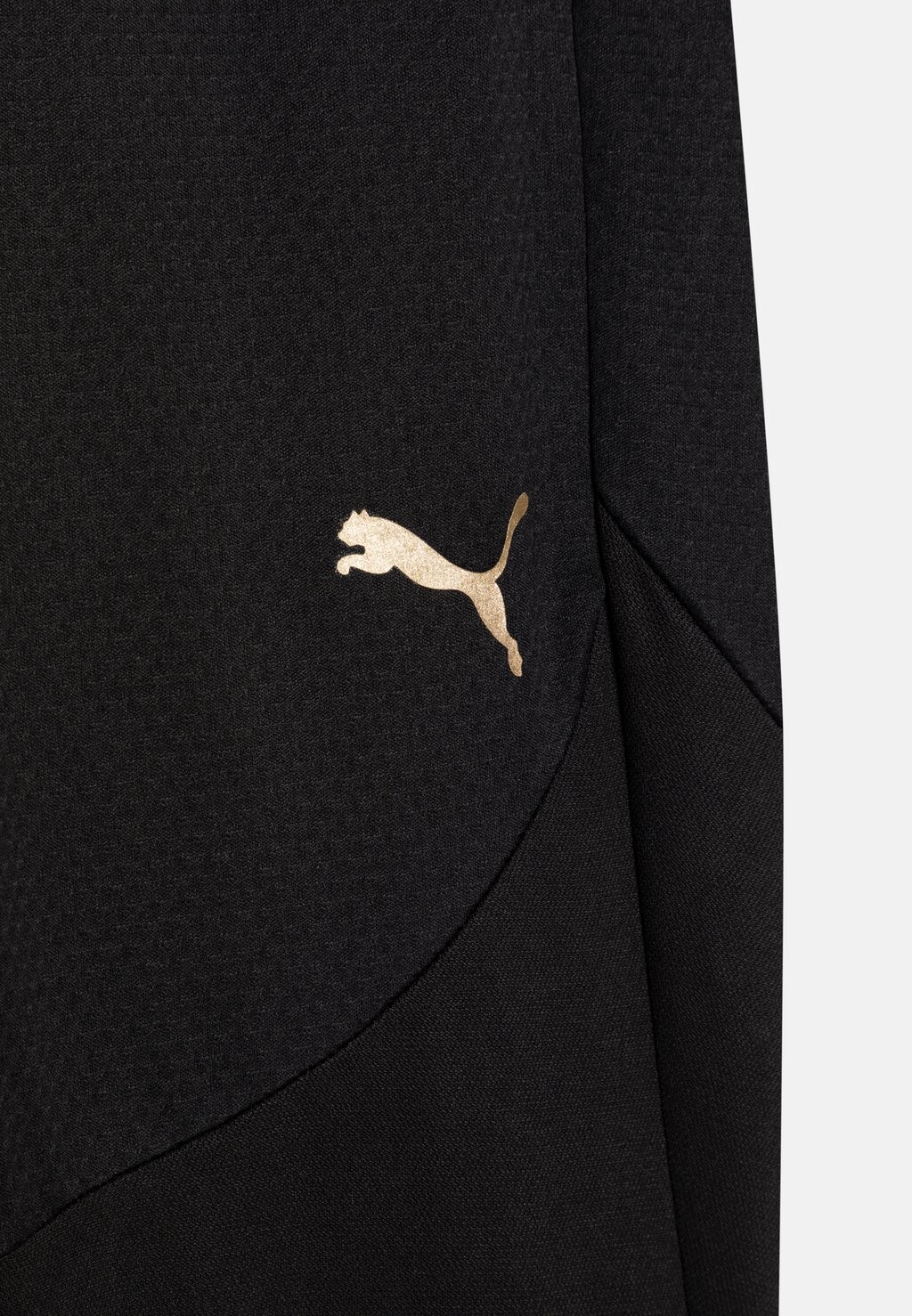 Спортивные штаны AC MILAN TRAINING PANTS JR UNISEX Puma, черный
Спортивные штаны AC MILAN TRAINING PANTS JR UNISEX Puma, черный