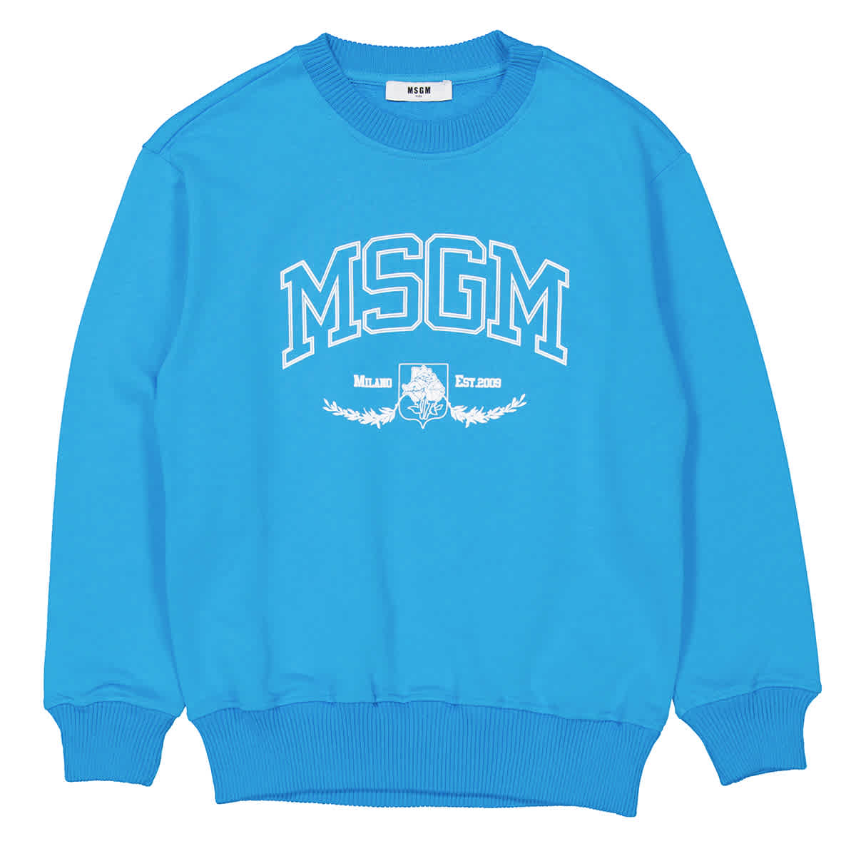MSGM Мальчики Логотип Хлопковый Свитшот, зеленый
MSGM Мальчики Логотип Хлопковый Свитшот, зеленый