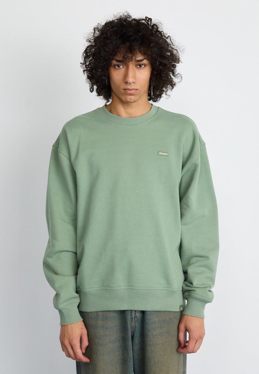 Толстовка Dickies CLANCY, Sea Spray/Dark Green
Толстовка Dickies CLANCY, Sea Spray/Dark Green