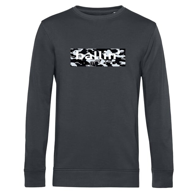 Стандартное восточное время свитер 2013 с камуфляжным принтом antraciet Ballin, серый
Стандартное восточное время свитер 2013 с камуфляжным принтом antraciet Ballin, серый