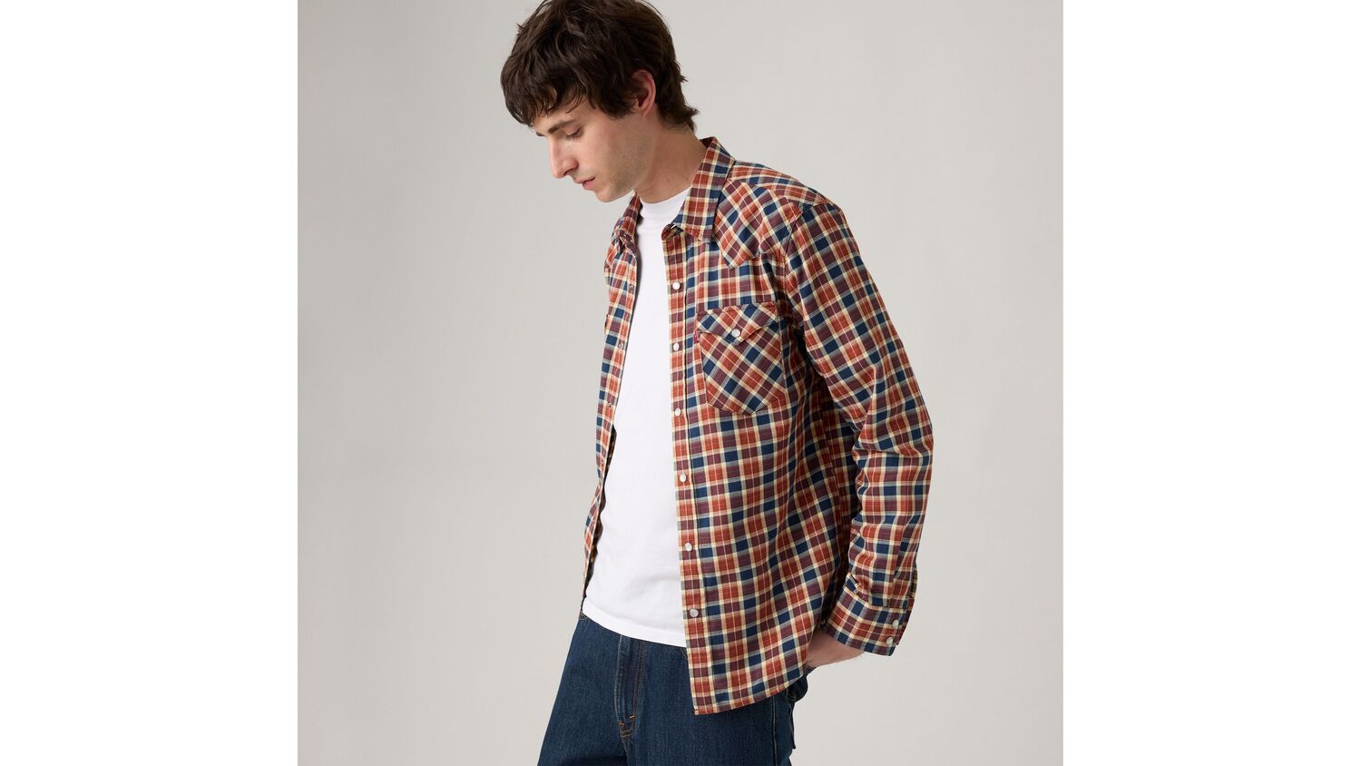 Классическая рубашка в стиле вестерн стандартного кроя Levi's, Jesper Plaid Dress Blues - Blue
Классическая рубашка в стиле вестерн стандартного кроя Levi's, Jesper Plaid Dress Blues - Blue