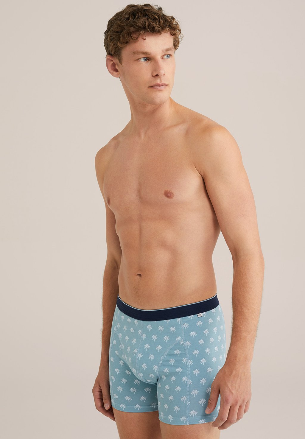 Брюки WE Fashion, светло-голубой
Брюки WE Fashion, светло-голубой