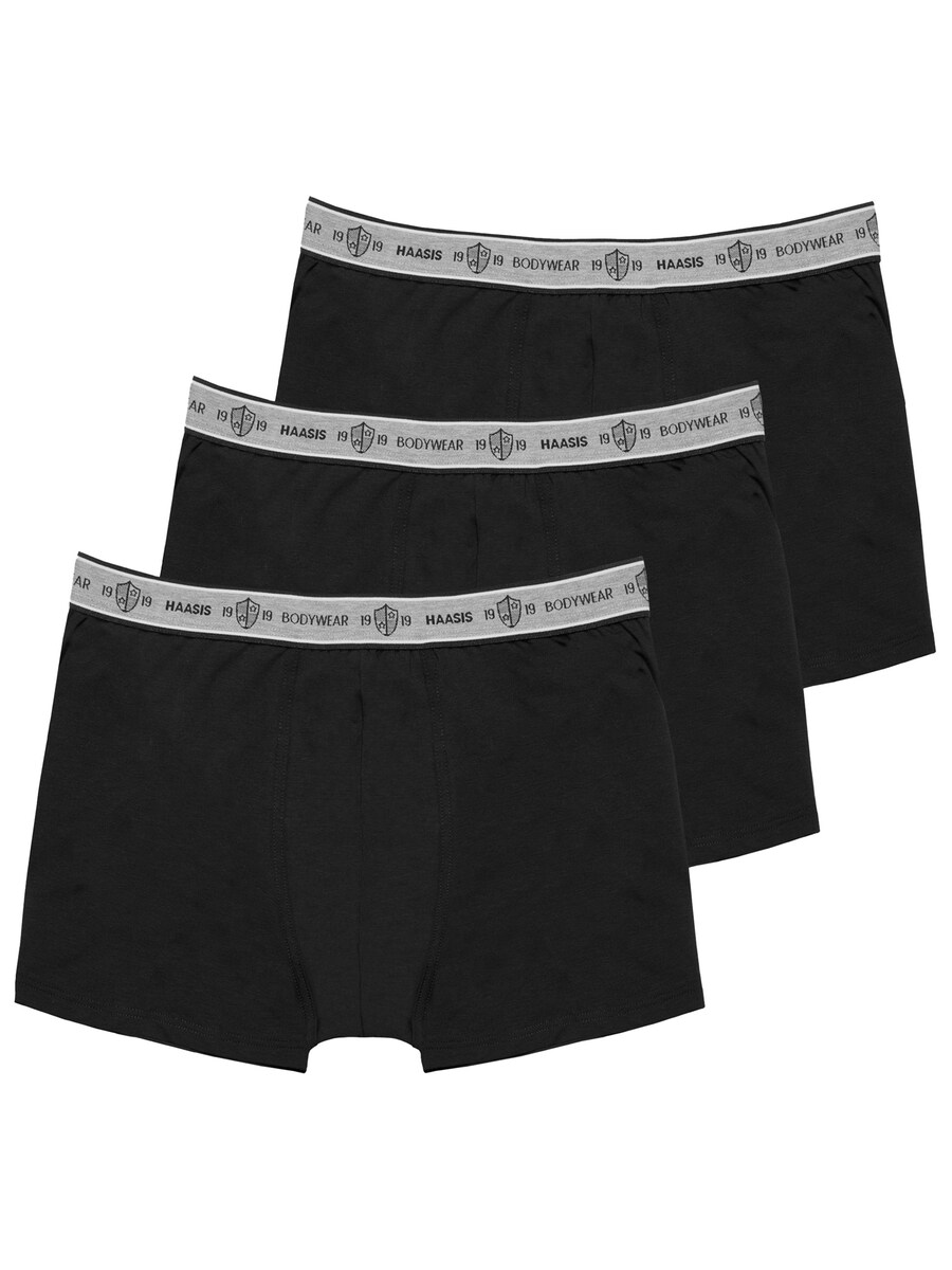 Боксеры Haasis Bodywear, черный
Боксеры Haasis Bodywear, черный