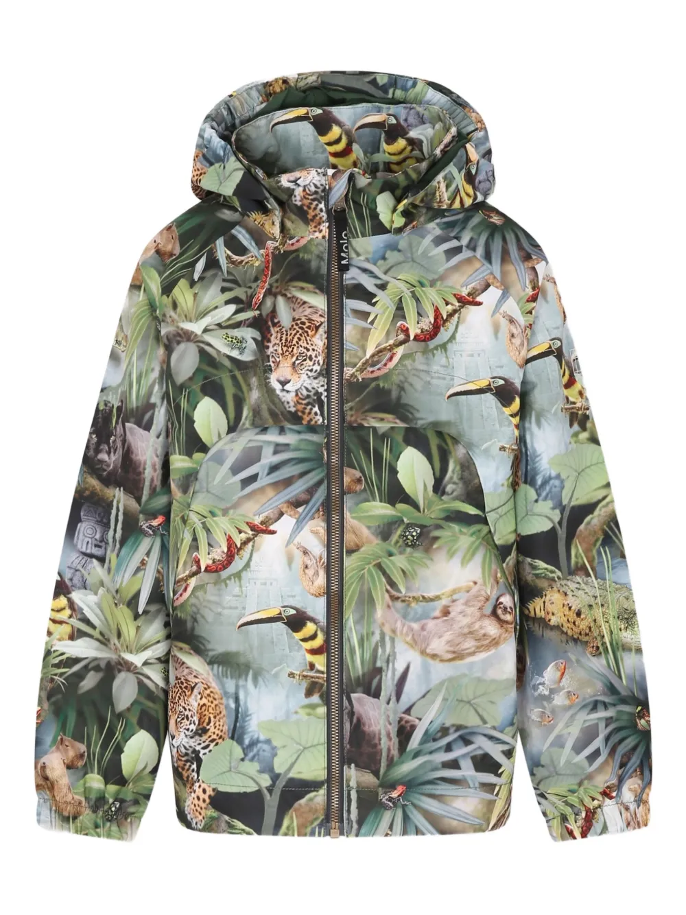 Пуховик с принтом Molo, зеленый 
Пуховик с принтом Molo, зеленый