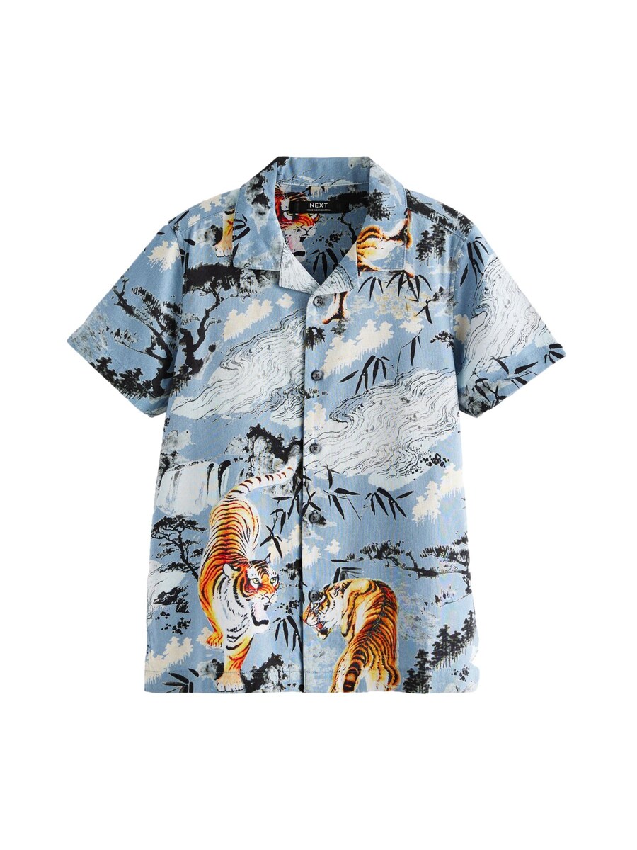 Рубашка обычного кроя на пуговицах Next, синий
Рубашка обычного кроя на пуговицах Next, синий