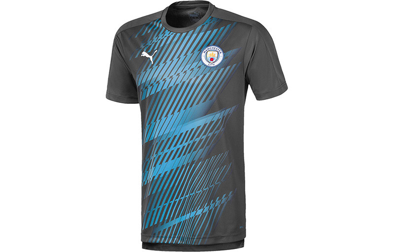 Мужское футбольное джерси Puma, цвет Multicolor 
Мужское футбольное джерси Puma, цвет Multicolor