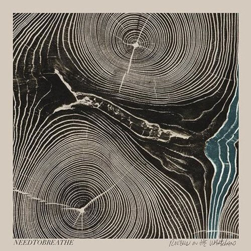 Виниловая пластинка Needtobreathe: Rivers in the Wasteland
Виниловая пластинка Needtobreathe: Rivers in the Wasteland