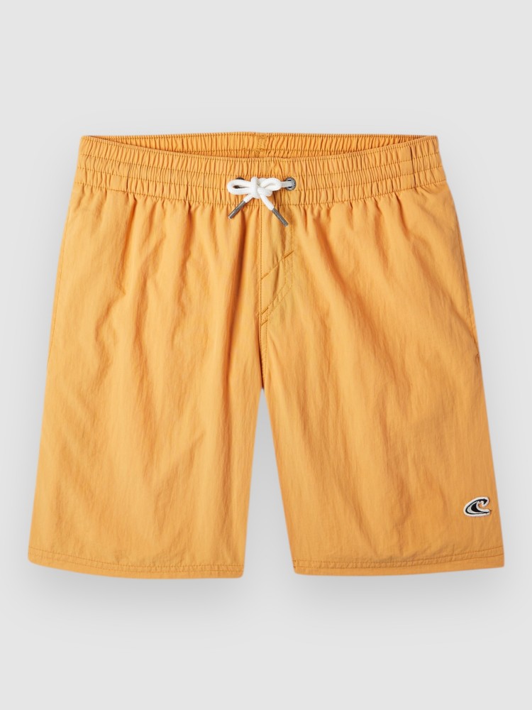 Пляжные шорты O'Neill Vert 14 Kids Boardshorts, nugget
Пляжные шорты O'Neill Vert 14 Kids Boardshorts, nugget