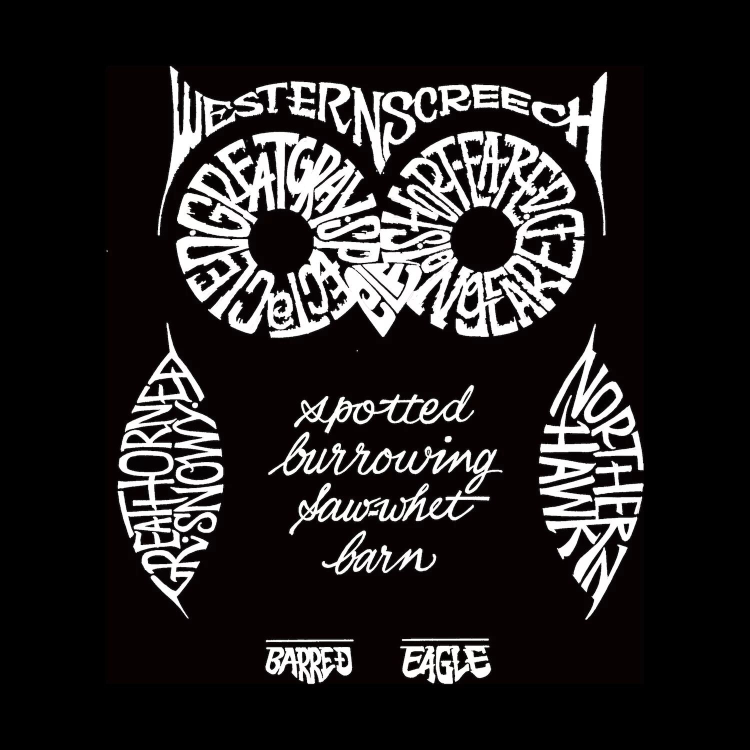 Сова — мужская футболка с рисунком Word Art LA Pop Art
Сова — мужская футболка с рисунком Word Art LA Pop Art