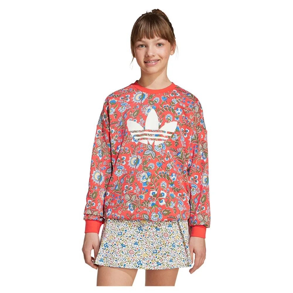 Толстовка adidas Originals X Liberty London Crew, красный
Толстовка adidas Originals X Liberty London Crew, красный