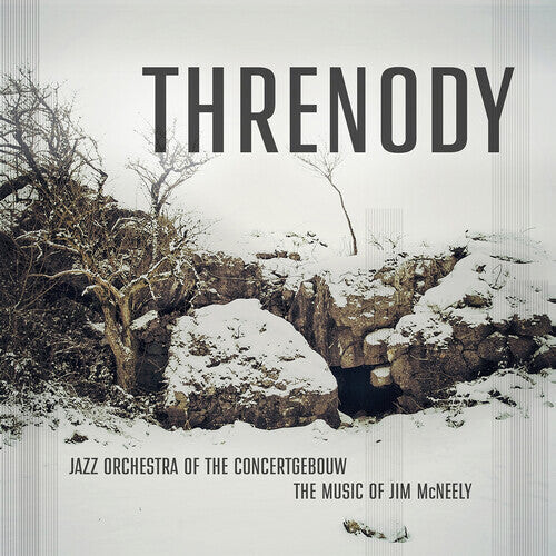 CD диск McNeely / Jazz Orchestra of the Concertgebouw: Threnody
CD диск McNeely / Jazz Orchestra of the Concertgebouw: Threnody