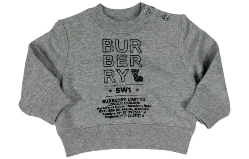 Толстовка Burberry, серый
Толстовка Burberry, серый