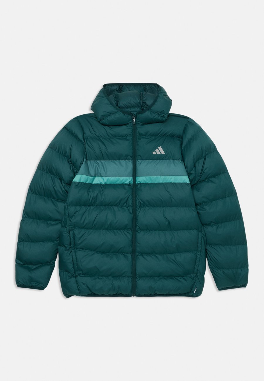 Зимняя куртка Adidas Performance JACKET JUNIOR UNISEX, Aurora Ivy/Preloved Teal/Powder Teal/Dark Green
Зимняя куртка Adidas Performance JACKET JUNIOR UNISEX, Aurora Ivy/Preloved Teal/Powder Teal/Dark Green