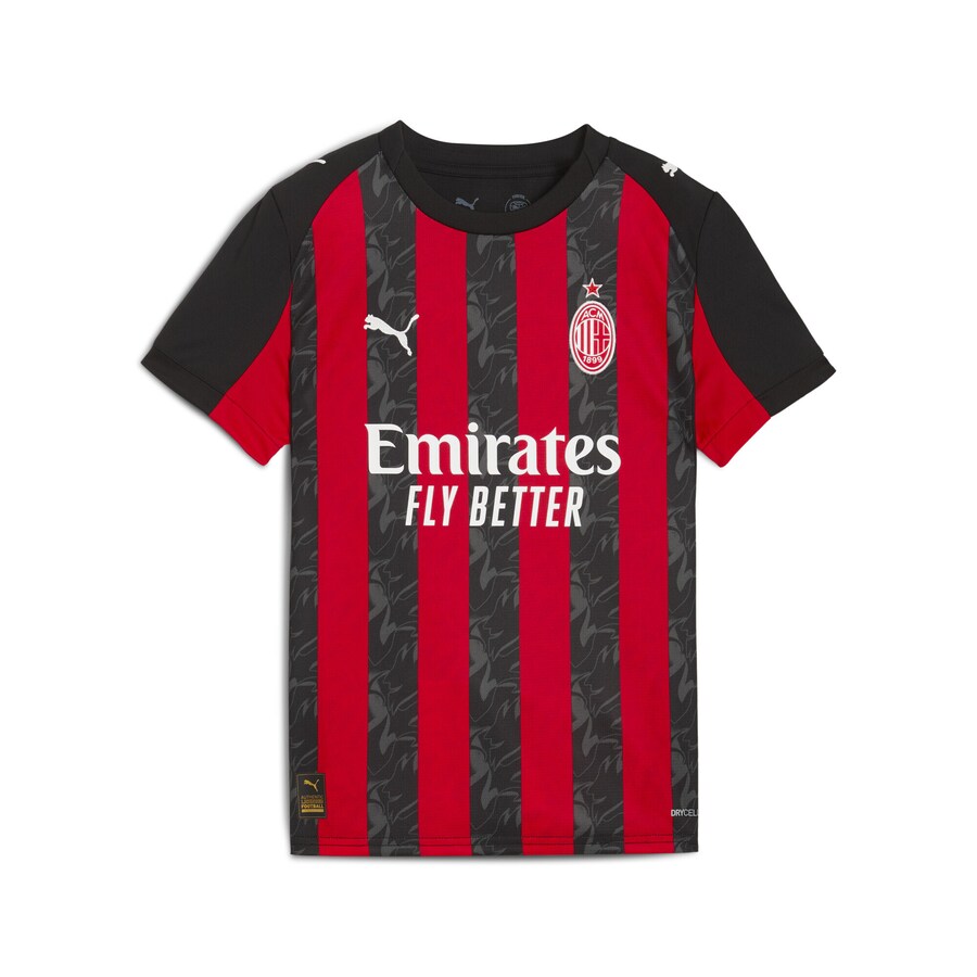 Футболка Performance PUMA AC Milan 25/26, красный
Футболка Performance PUMA AC Milan 25/26, красный