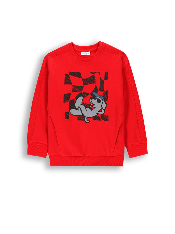 Толстовка Coccodrillo, красный
Толстовка Coccodrillo, красный