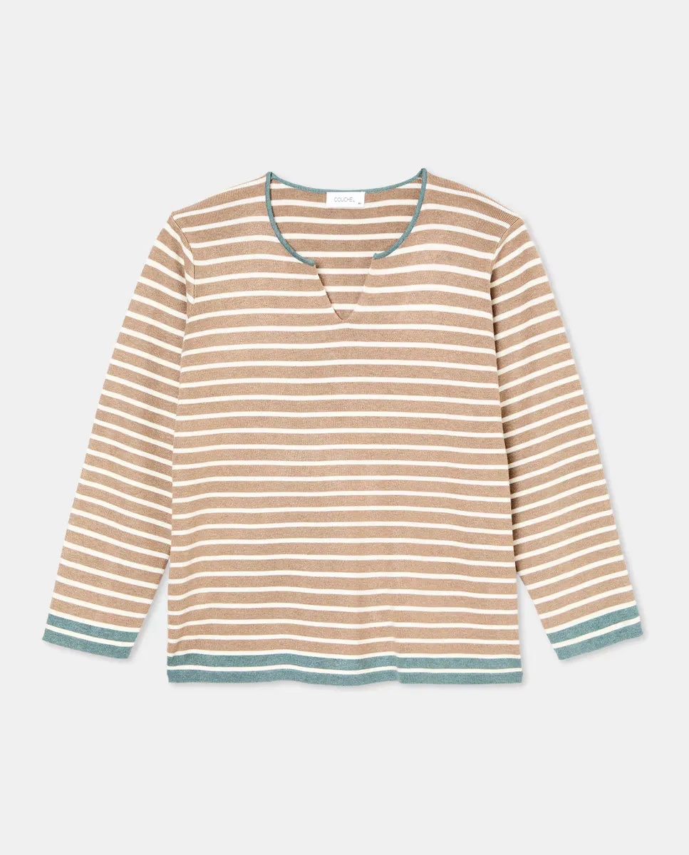 Женский джемпер с длинным рукавом и V-образным вырезом Couchel, коричневый
Женский джемпер с длинным рукавом и V-образным вырезом Couchel, коричневый