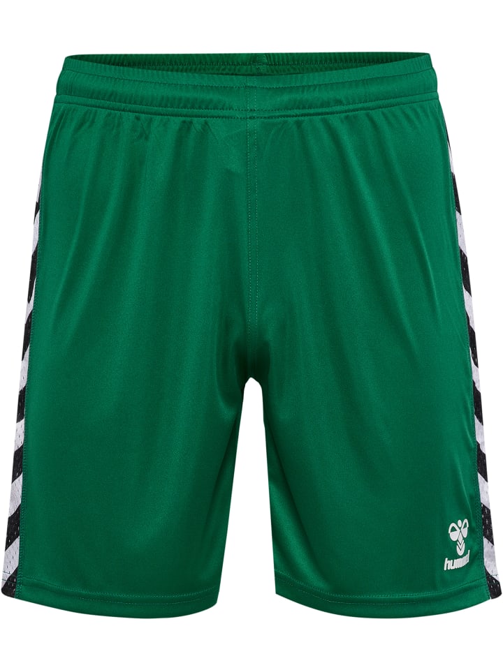 Игристые шорты Hummel для взрослых в цвете EVERGREEN Hummel
Игристые шорты Hummel для взрослых в цвете EVERGREEN Hummel