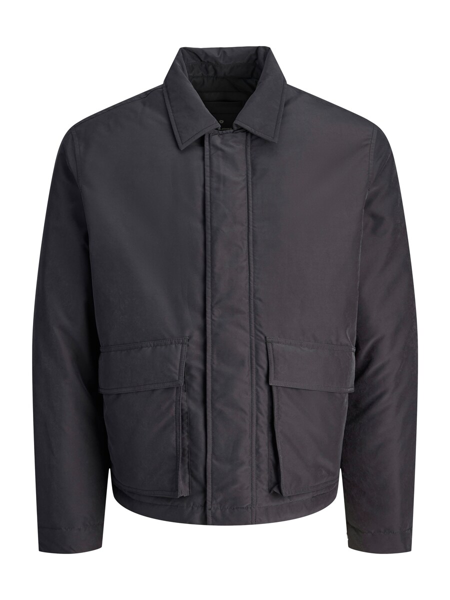 Демисезонная куртка JACK & JONES JACK & JONES JPRBLAWAYNE, Black
Демисезонная куртка JACK & JONES JACK & JONES JPRBLAWAYNE, Black