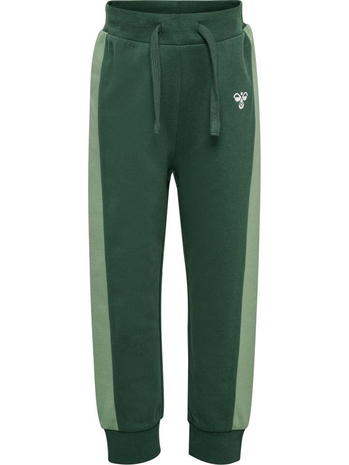 Спортивные брюки Hummel Hmlarnold Kinder, цвет garden topiary
Спортивные брюки Hummel Hmlarnold Kinder, цвет garden topiary