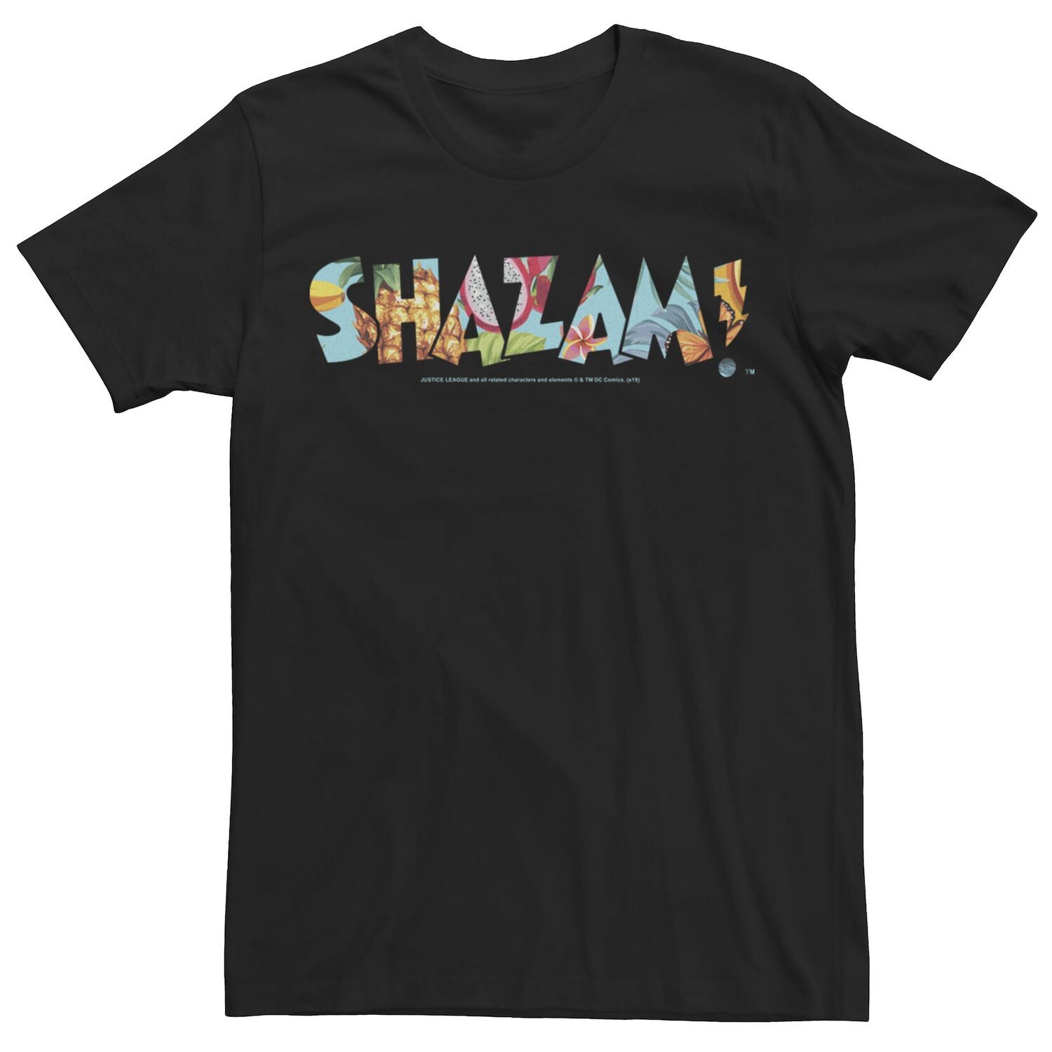 Мужская футболка с логотипом DC Comics Shazam Dragon Fruit Licensed Character, черный
Мужская футболка с логотипом DC Comics Shazam Dragon Fruit Licensed Character, черный