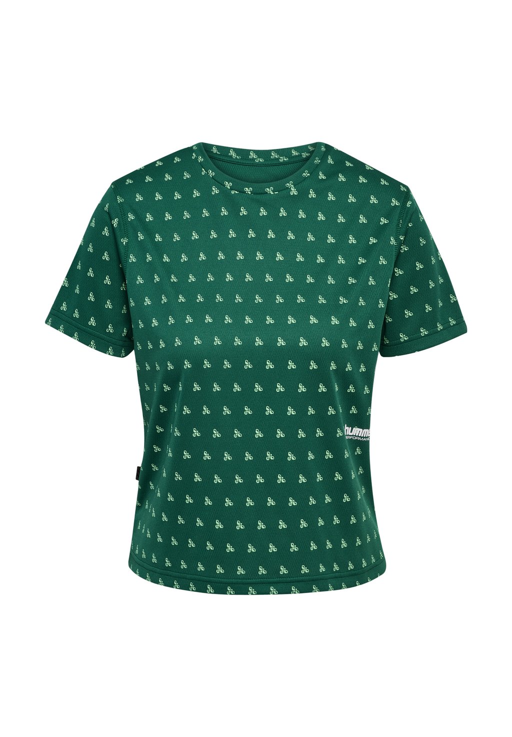 Спортивная футболка PULSE AOP WORKOUT Hummel, зеленый
Спортивная футболка PULSE AOP WORKOUT Hummel, зеленый