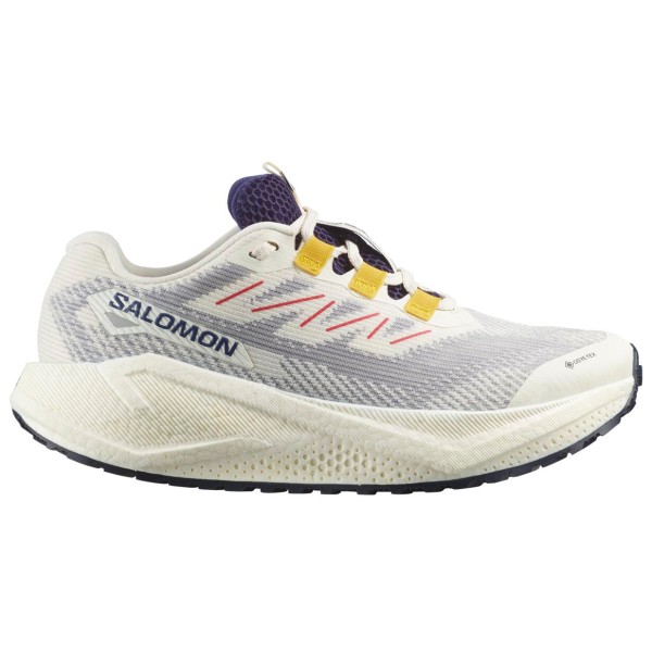 Женские кроссовки Aero Blaze 3 Grvl GTX - кроссовки для бега Salomon, мультиколор
Женские кроссовки Aero Blaze 3 Grvl GTX - кроссовки для бега Salomon, мультиколор