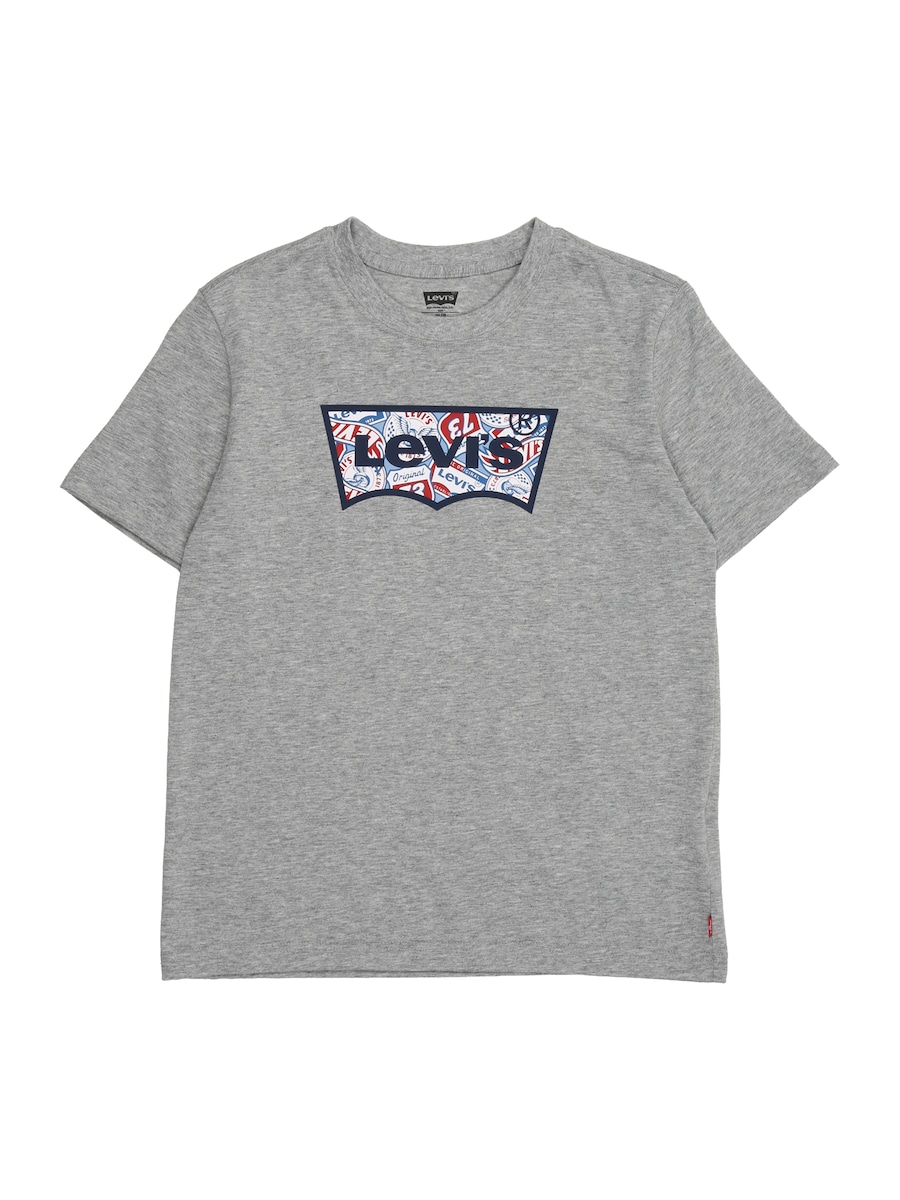 Рубашка Levi's Kids ON THE ROAD, серый
Рубашка Levi's Kids ON THE ROAD, серый