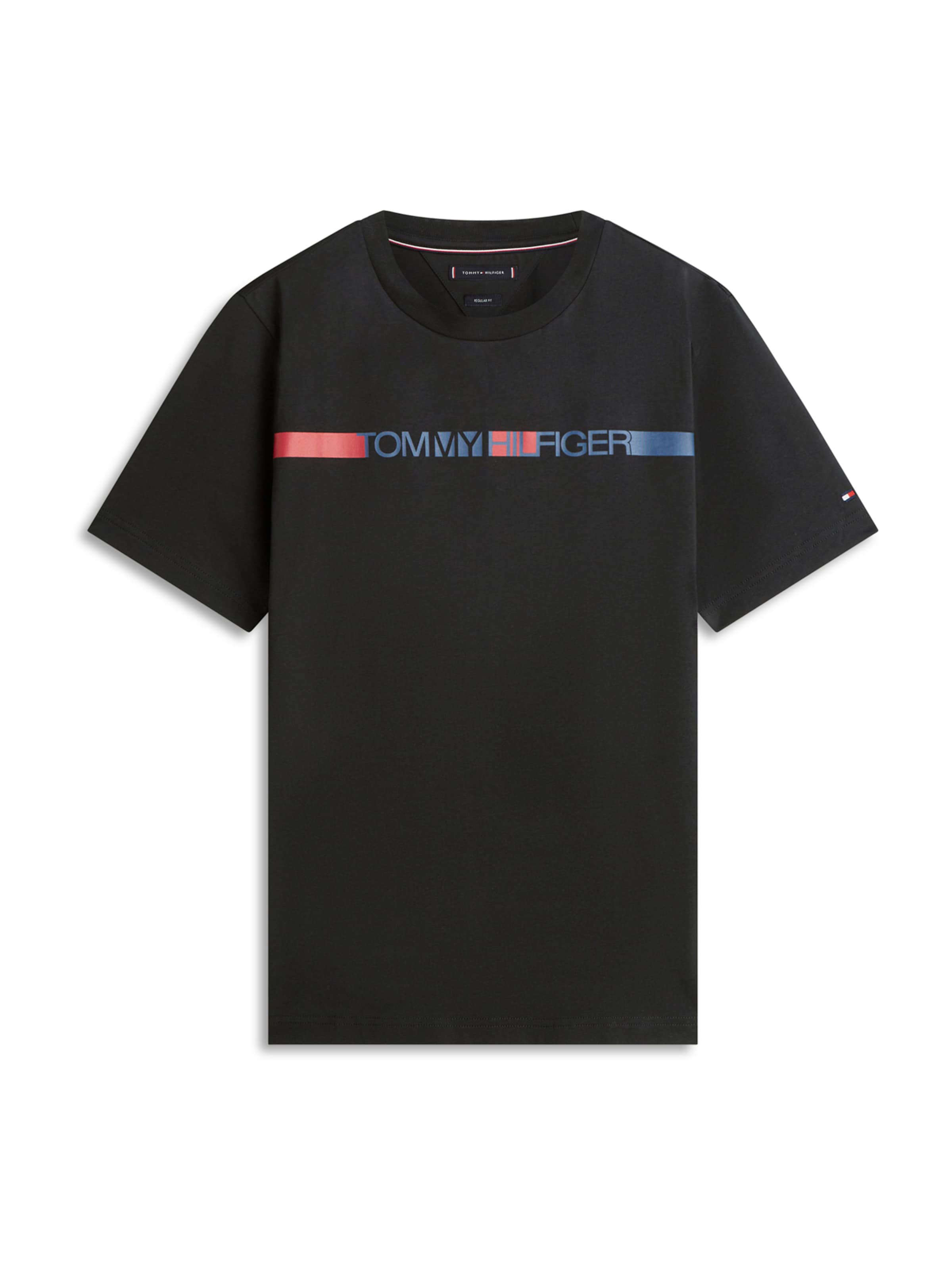 TOMMY HILFIGER Футболка 'BRAND LOVE' в черном цвете
TOMMY HILFIGER Футболка 'BRAND LOVE' в черном цвете