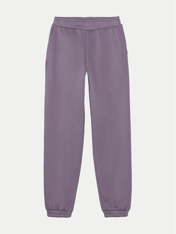 Спортивные брюки стандартного кроя 4F, фиолетовый
Спортивные брюки стандартного кроя 4F, фиолетовый