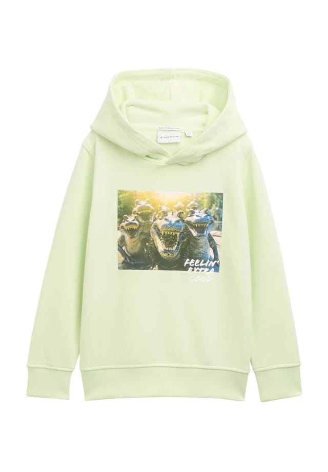 Толстовка с капюшоном и ребристыми манжетами для детей Tom Tailor, бежевый
Толстовка с капюшоном и ребристыми манжетами для детей Tom Tailor, бежевый