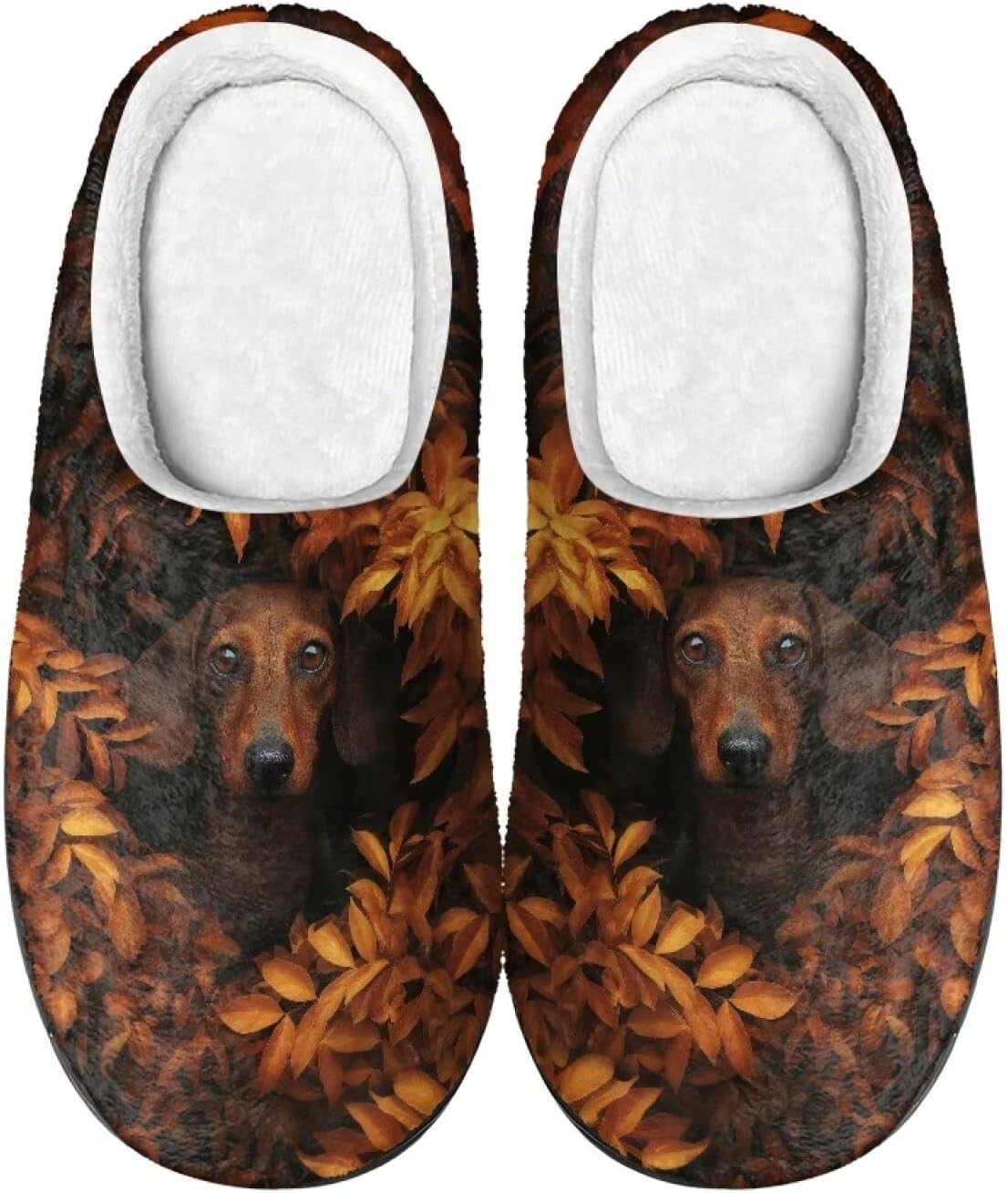 Домашние тапочки COEQINE для женщин, зимние уютные домашние тапочки, смешные и теплые, размер 35-47, Cute Dachshund Dog Maple Leaf
Домашние тапочки COEQINE для женщин, зимние уютные домашние тапочки, смешные и теплые, размер 35-47, Cute Dachshund Dog Maple Leaf