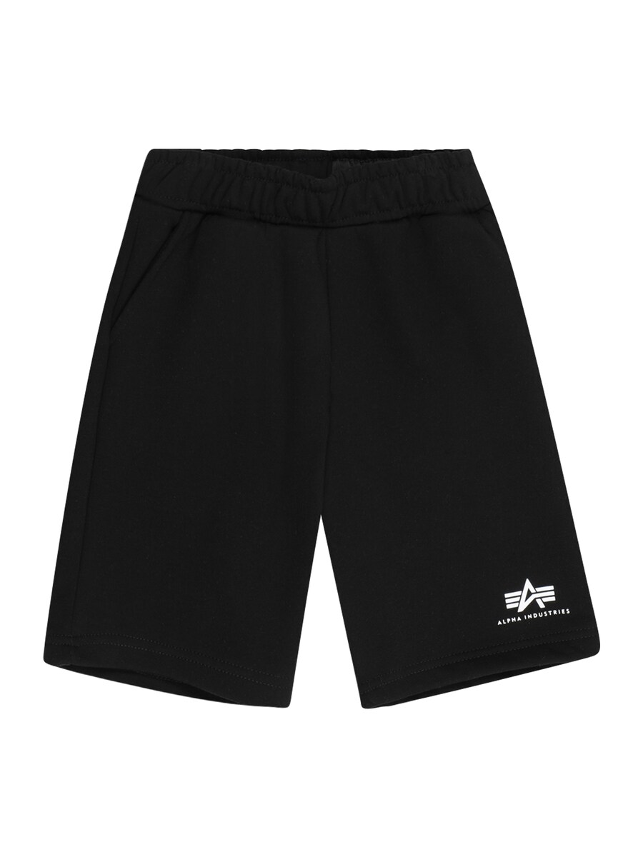 Обычные брюки ALPHA INDUSTRIES, черный
Обычные брюки ALPHA INDUSTRIES, черный