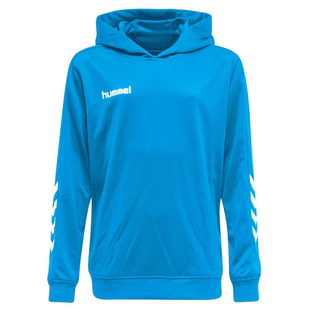Худи Hummel Promo Poly, синий
Худи Hummel Promo Poly, синий