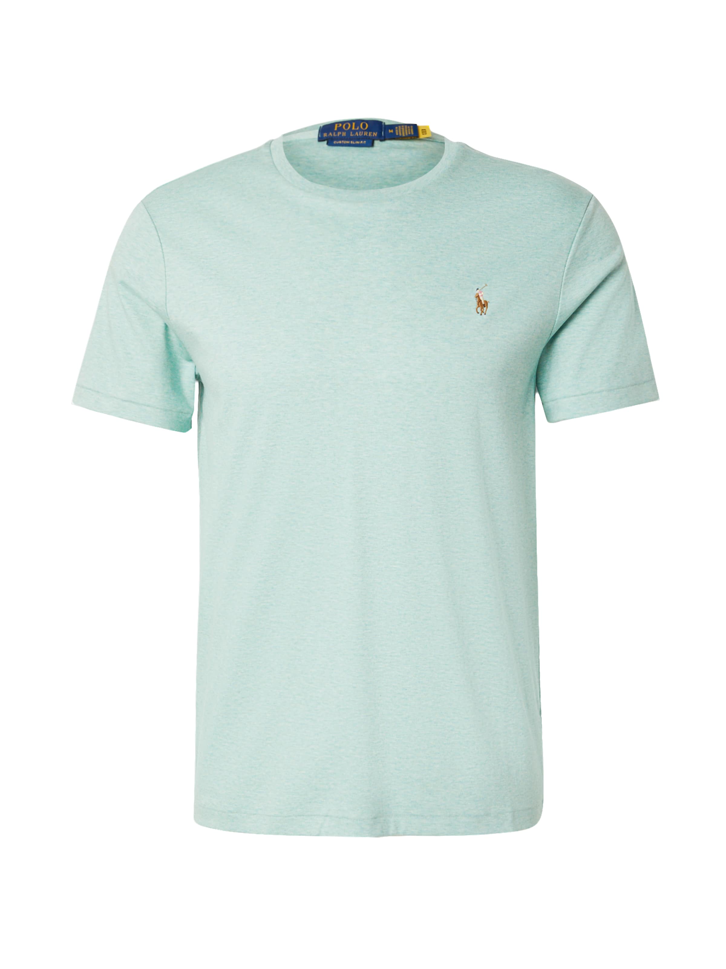 Polo Ralph Lauren Поло Regular fit в цвете Mint
Polo Ralph Lauren Поло Regular fit в цвете Mint
