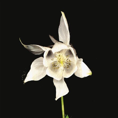 Виниловая пластинка Fridge - Happiness - Anniversary Edition
Виниловая пластинка Fridge - Happiness - Anniversary Edition