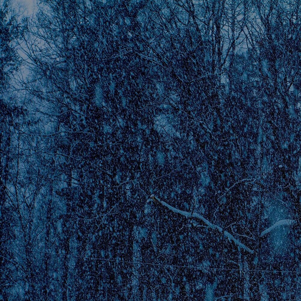 Виниловая пластинка LP Never - Jesu
Виниловая пластинка LP Never - Jesu