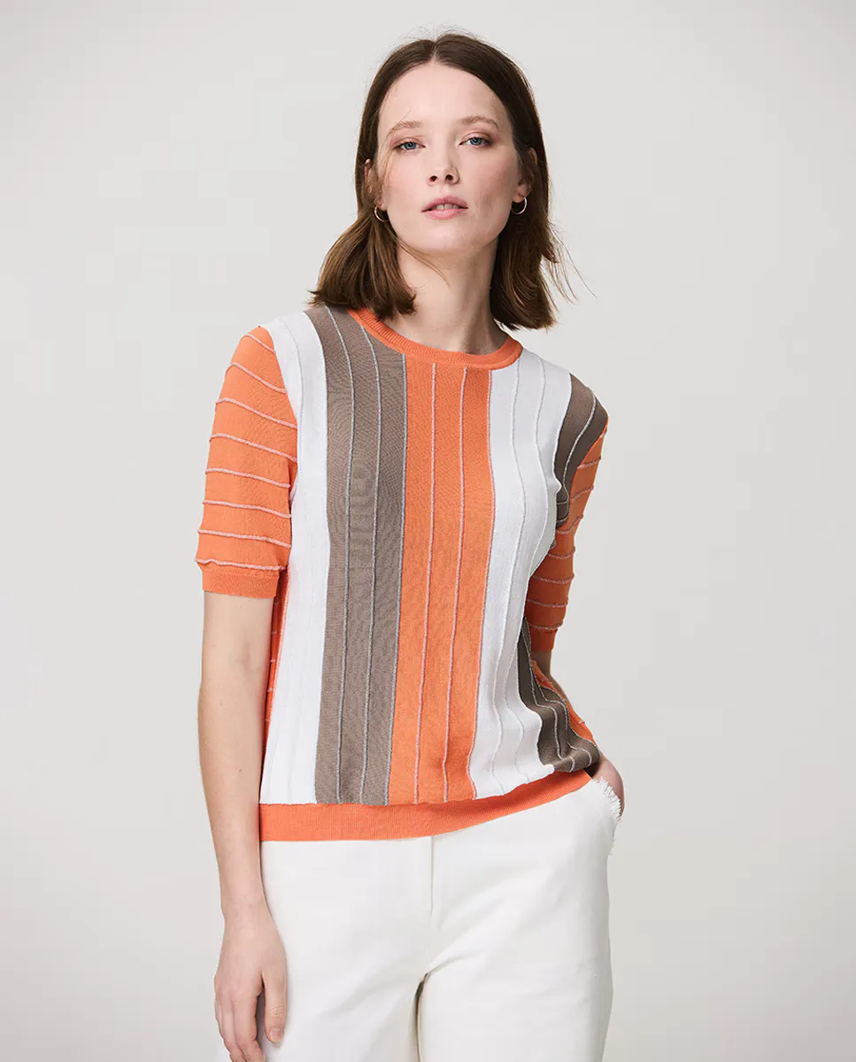 Женский свитер с короткими рукавами в вертикальную полоску Escorpion, мультиколор
Женский свитер с короткими рукавами в вертикальную полоску Escorpion, мультиколор