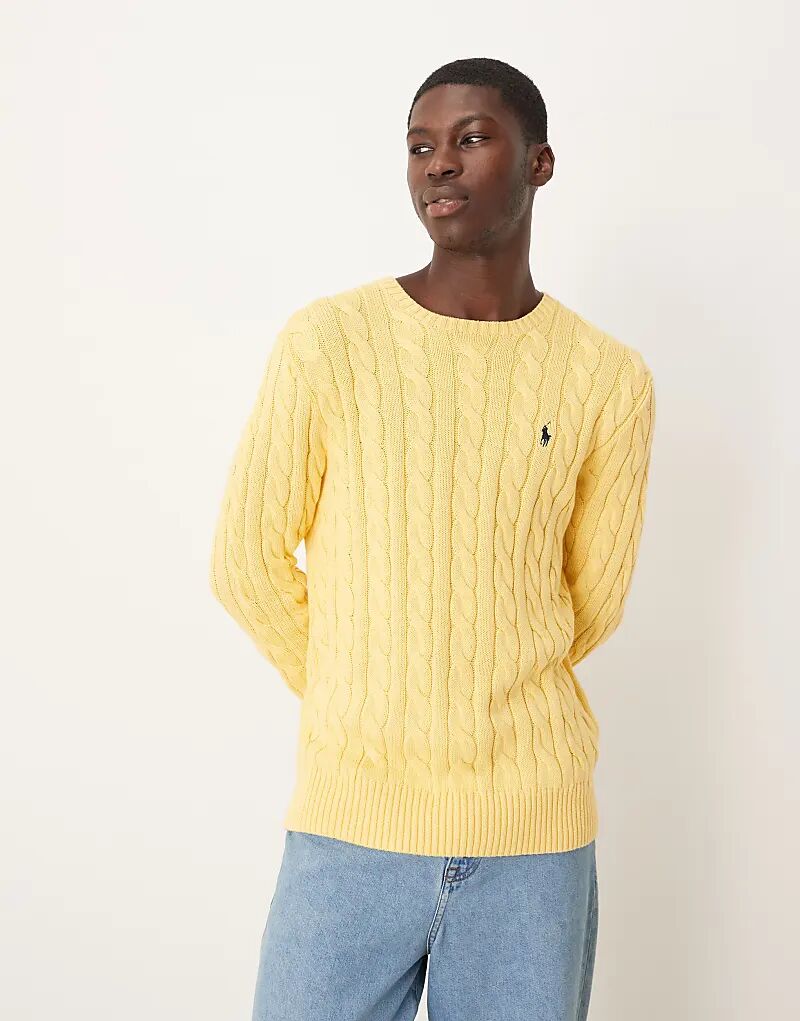 Джемпер Polo Ralph Lauren Driver Icon с хлопковой вязкой и логотипом желтого цвета
Джемпер Polo Ralph Lauren Driver Icon с хлопковой вязкой и логотипом желтого цвета