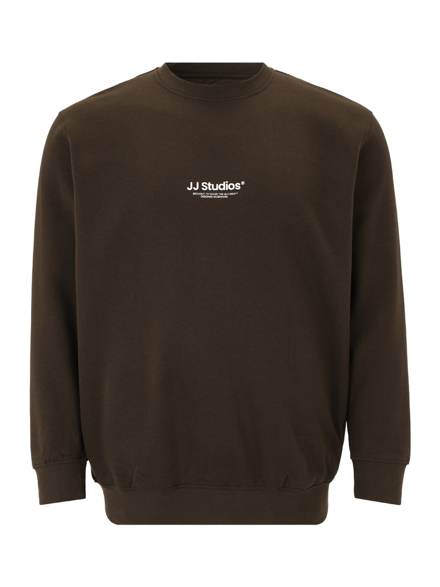 Толстовка Jack & Jones Plus JJESOHO, коричневый
Толстовка Jack & Jones Plus JJESOHO, коричневый