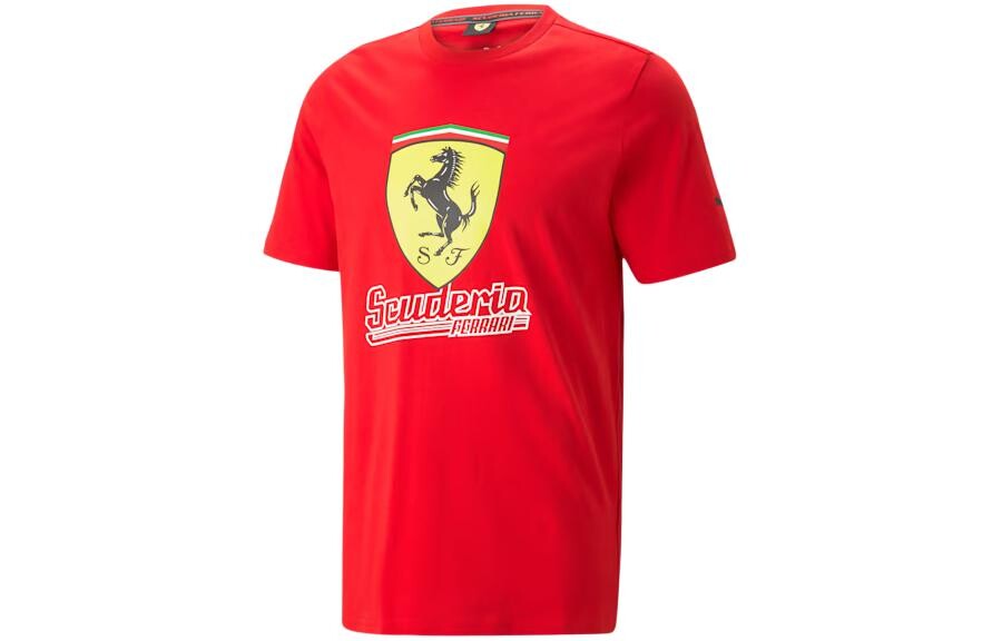 Футболка мужская красная Puma, красный
Футболка мужская красная Puma, красный