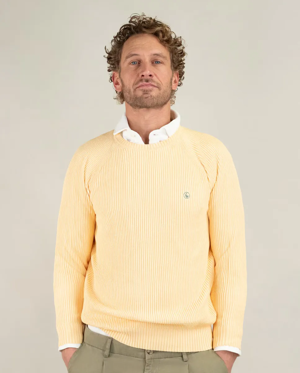 Мужской джемпер English Point гладкий El Ganso, желтый
Мужской джемпер English Point гладкий El Ganso, желтый